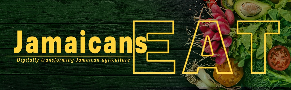 Fresh vegetables and fruits